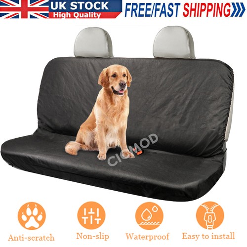 Pet dog car back - dog,